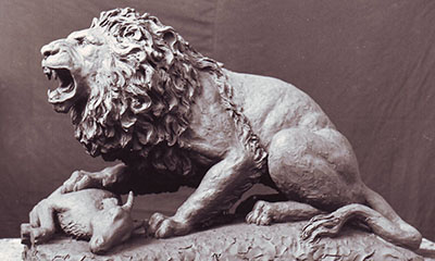 Leone con preda